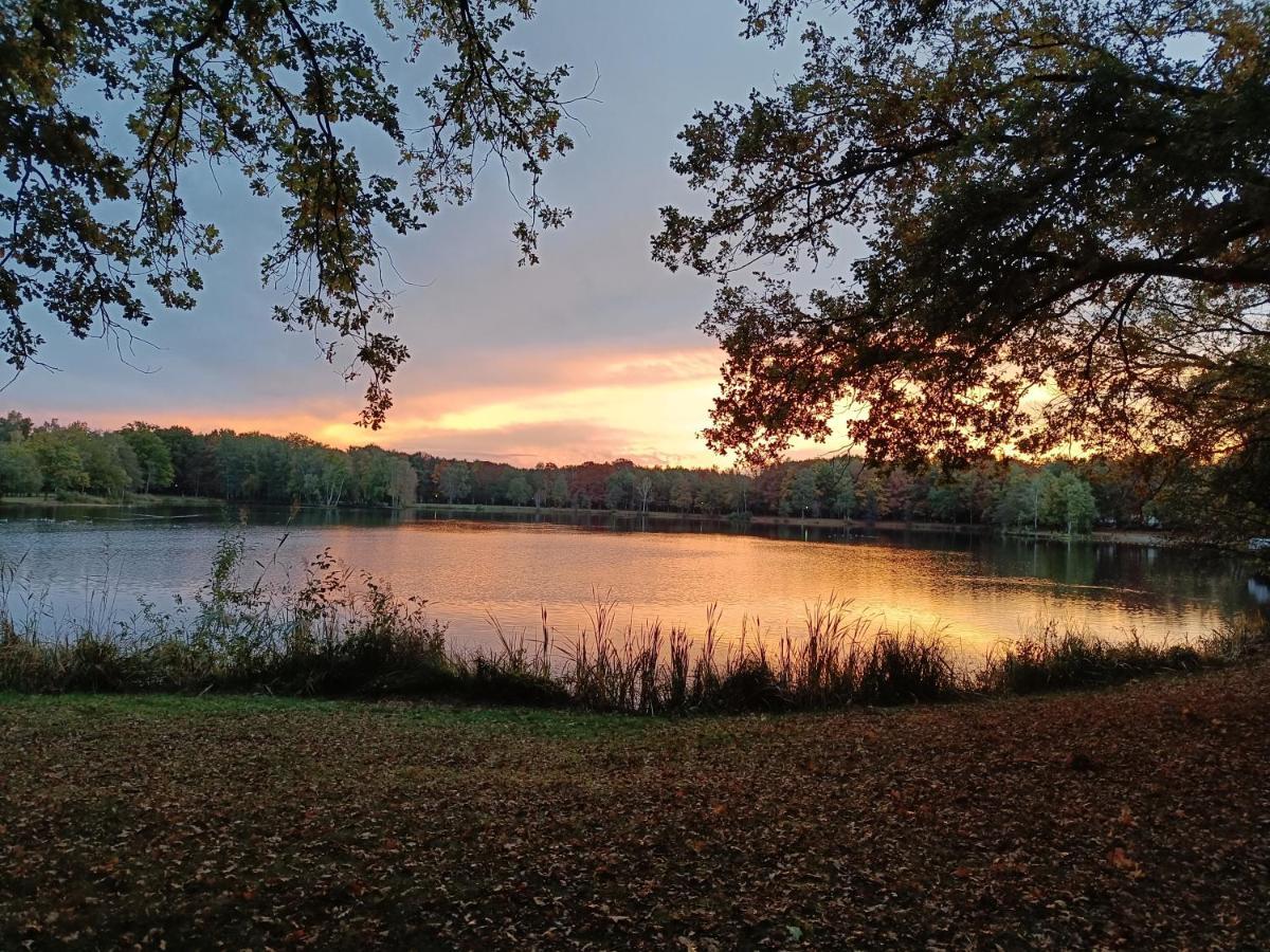 Moliere Villa Rekem Buitenkant foto